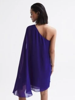 Reiss Fleur Sheer Cape Sleeve Mini Dress, Purple 5 Reiss Fleur Sheer Cape Sleeve Mini Dress, Purple -EleganceWear Store reiss fleur sheer cape sleeve mini dress purple3